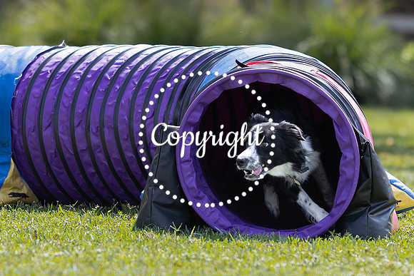 7H2A9038-Edit-Edit