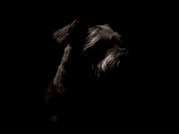 1C0A9597-Edit