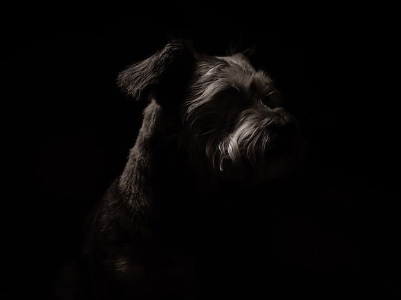 1C0A9597-Edit